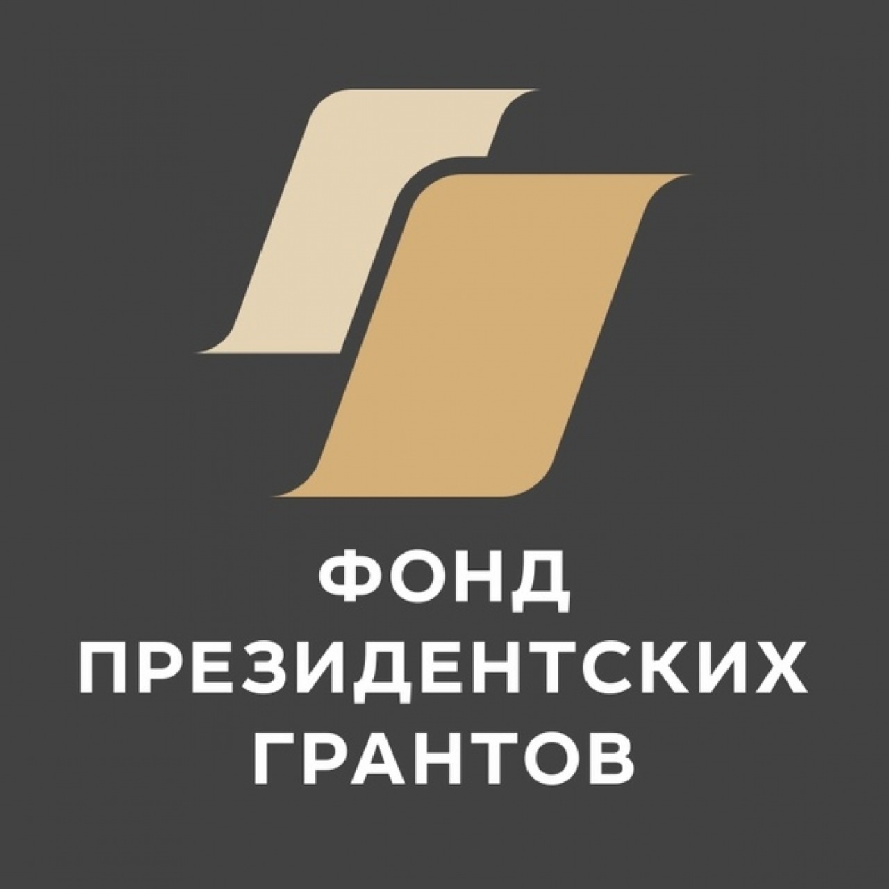 Фонд президентских грантов объявил о приеме заявок на 2022 год -  Администрация города Дзержинска